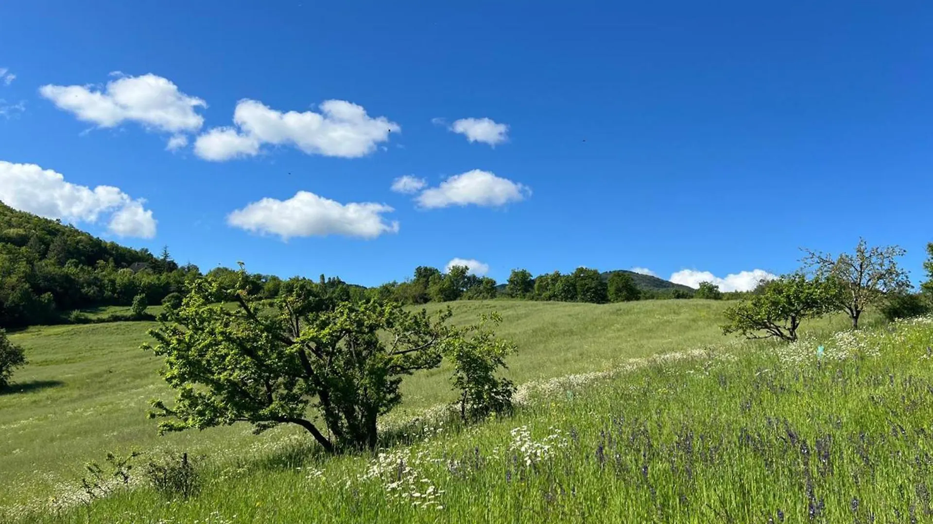 Appartamento Immerso Nella Natura, Silenzio E Riservatezza A 550 M Di Quota Langhirano Italy