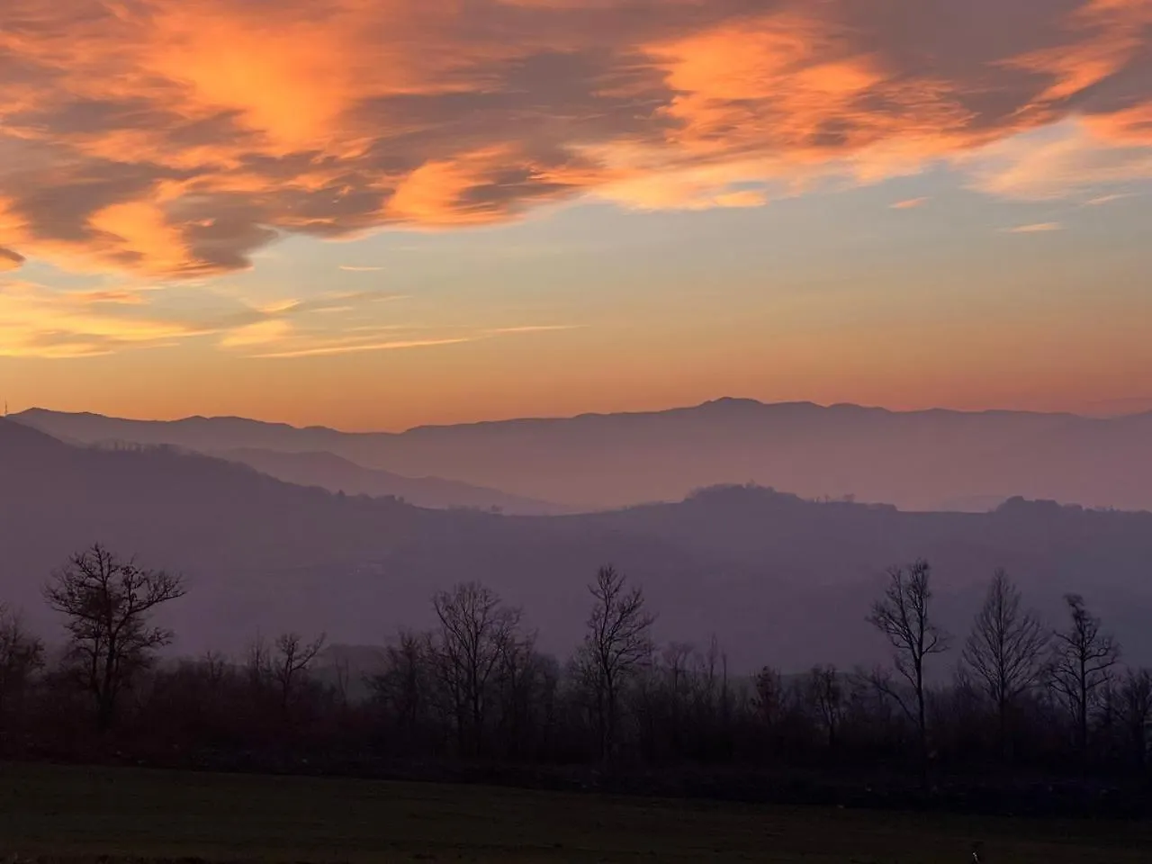 Appartamento Immerso Nella Natura, Silenzio E Riservatezza A 550 M Di Quota Langhirano Apartment