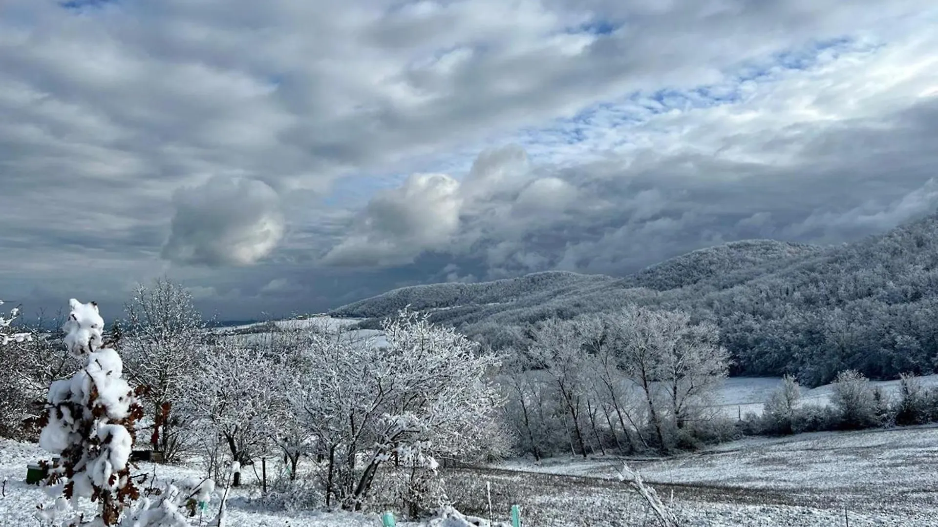 Appartamento Immerso Nella Natura, Silenzio E Riservatezza A 550 M Di Quota Langhirano Apartment