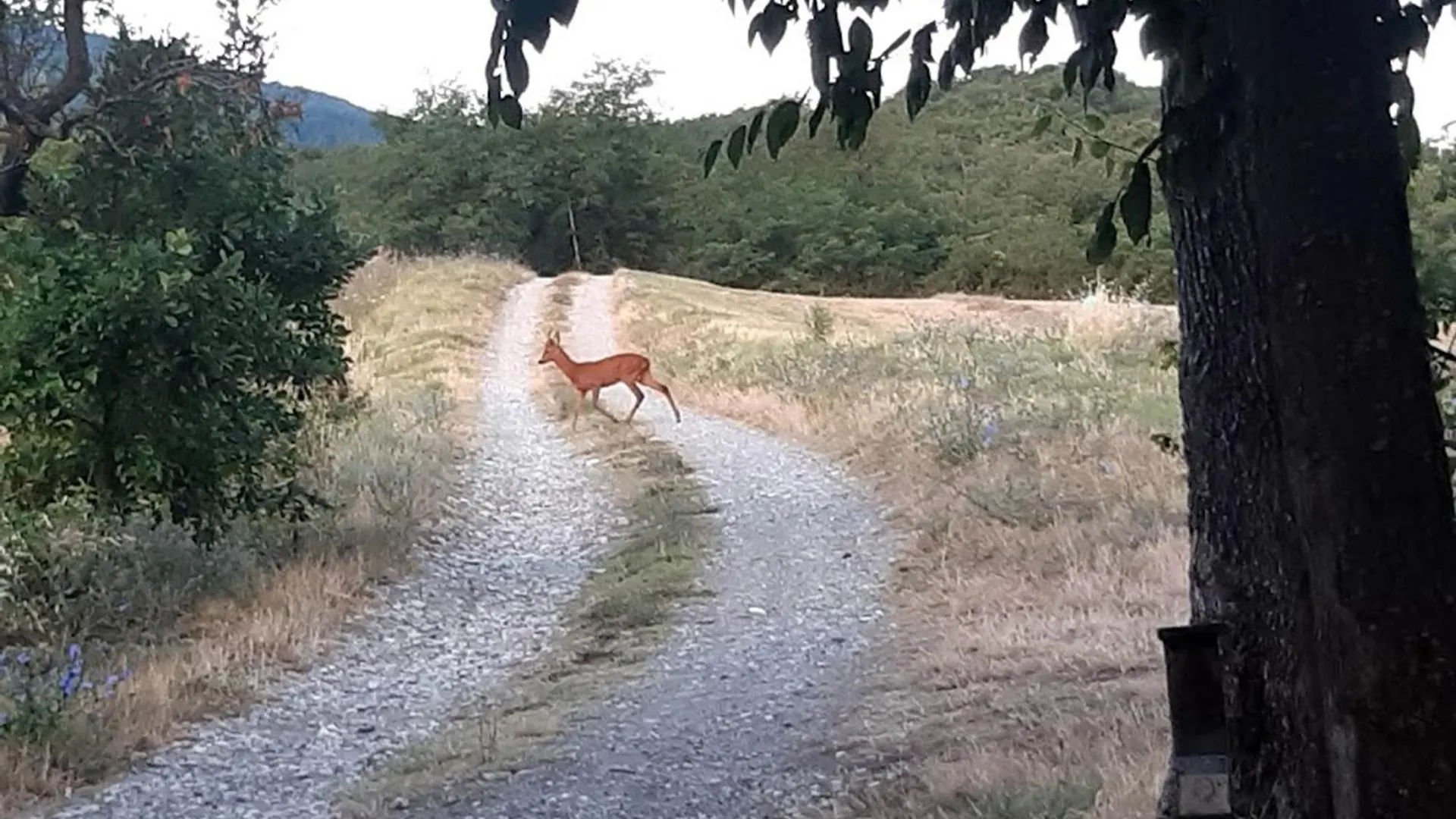 Apartmán Appartamento Immerso Nella Natura, Silenzio E Riservatezza A 550 M Di Quota Langhirano Itálie