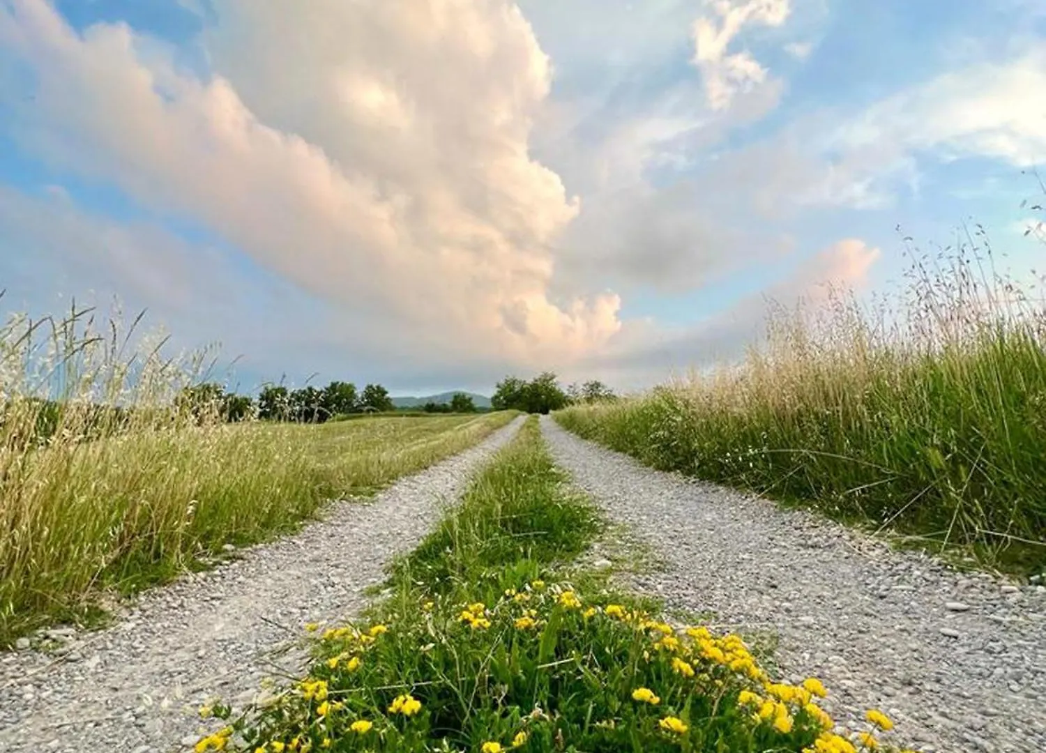 Appartamento Immerso Nella Natura, Silenzio E Riservatezza A 550 M Di Quota Langhirano Apartmán